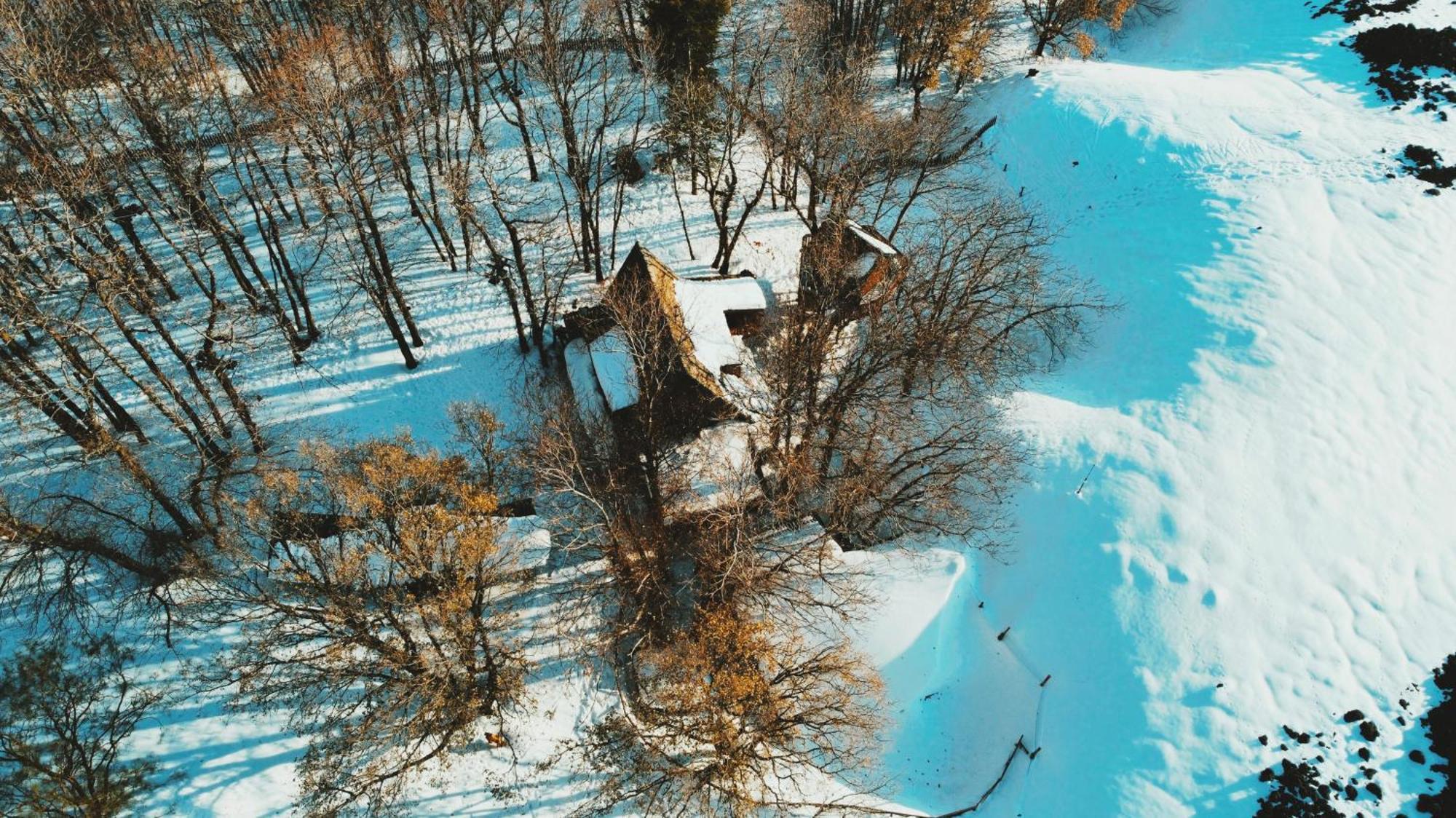 Matilde'S Chalet Etna Nature House Nicolosi Exterior foto